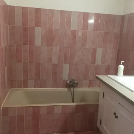 Les Camelias Otel Antibes