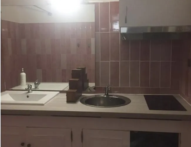 Hotel Les Camelias Antibes