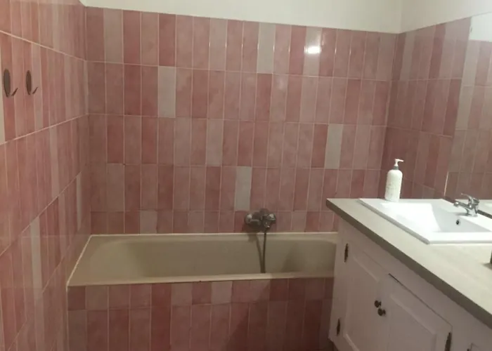 Les Camelias Hotel Antibes